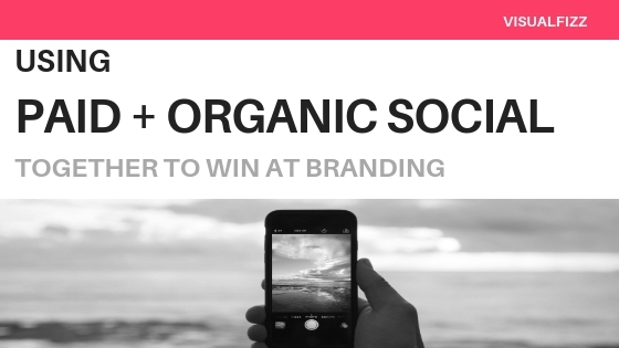 VF paid and organic social media strategies