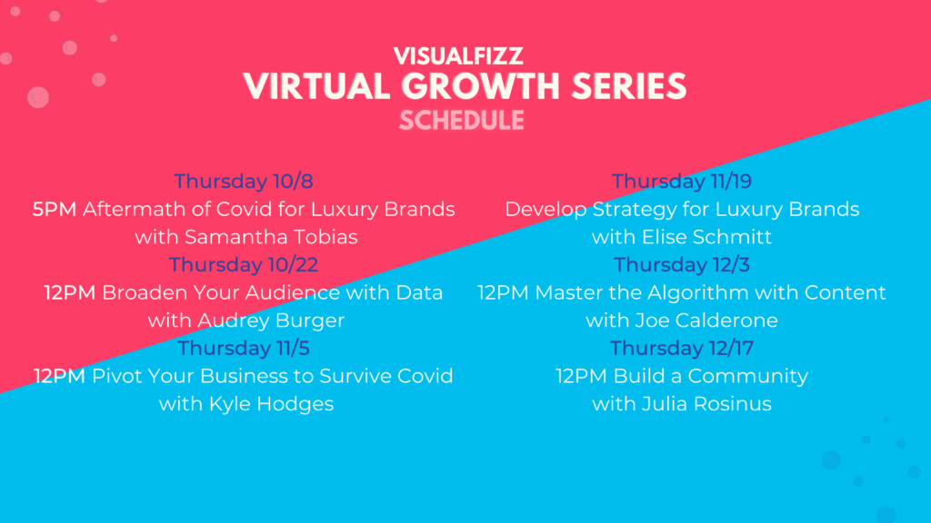 VisualFizz Growth Series Schedule with upcoming events